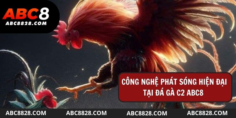 Nhà cái cung cấp những thước phim phát sóng chất lượng HD phục vụ người xem