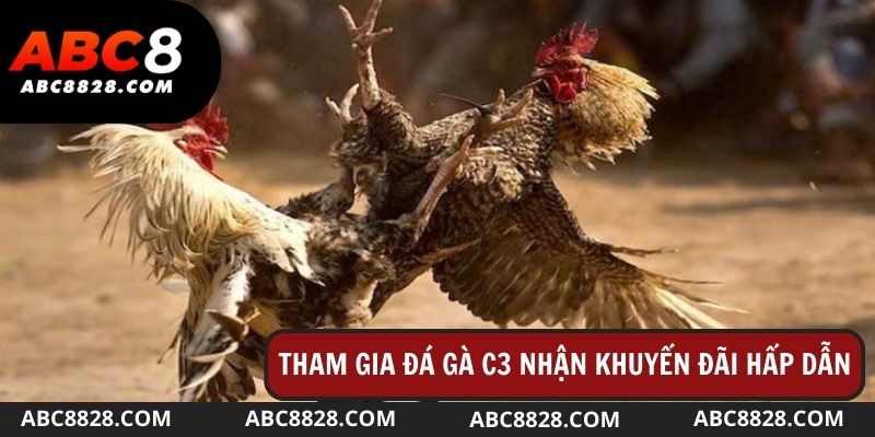 Nhận ngay hàng loại khuyến mãi hot khi tham gia sân đấu này của nhà cái